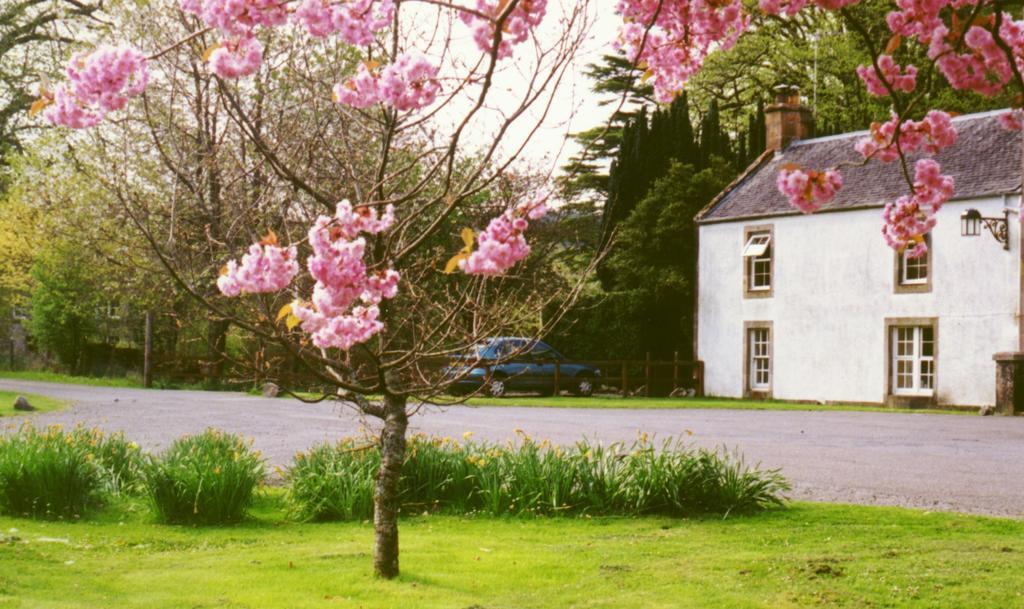 Inverawe Cottages Taynuilt Pokoj fotografie